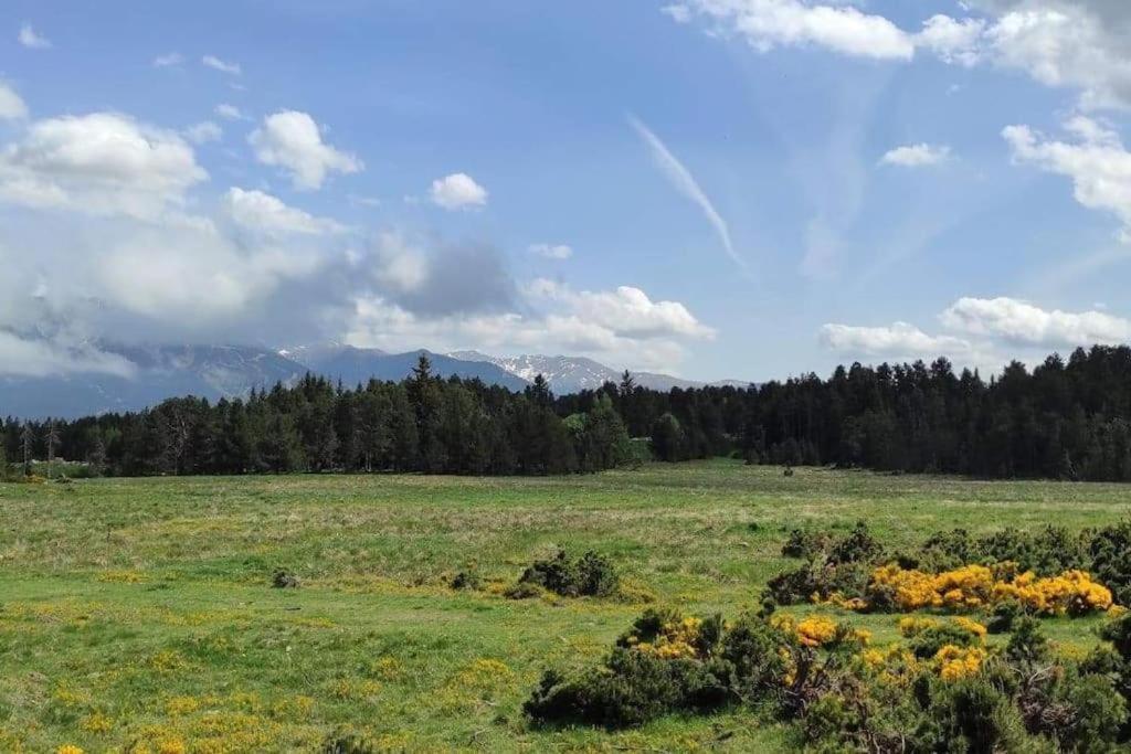 Apt Confortable Au Pied Des Pistes Et De La Foret Bolquère Zewnętrze zdjęcie