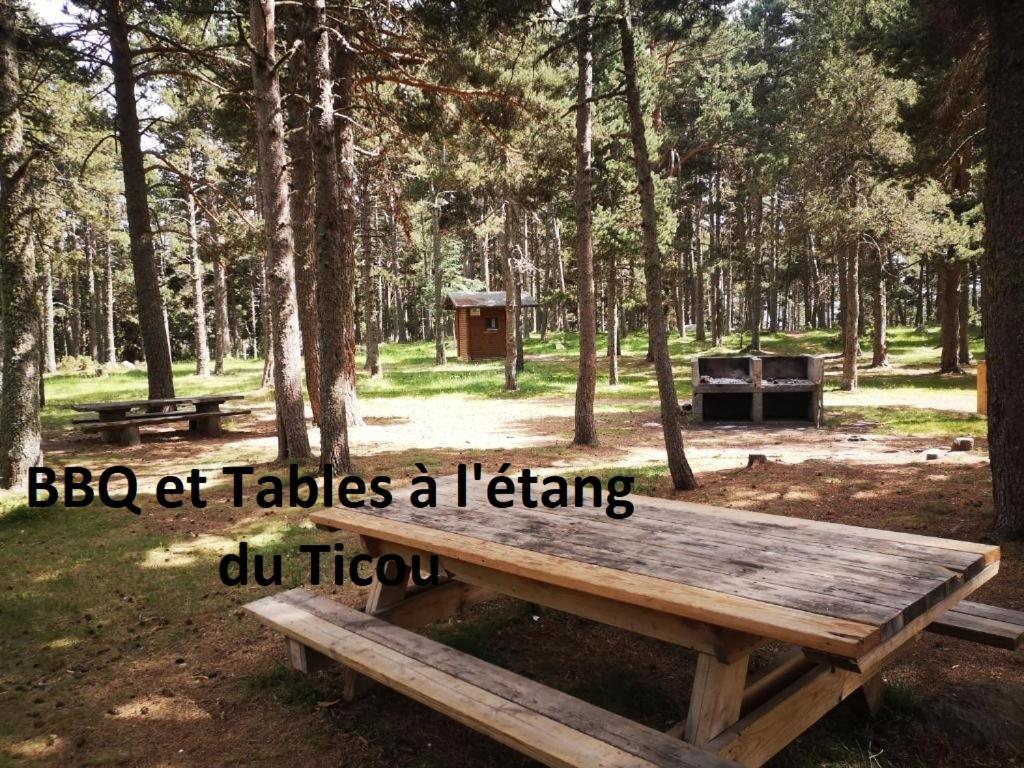Apt Confortable Au Pied Des Pistes Et De La Foret Bolquère Zewnętrze zdjęcie